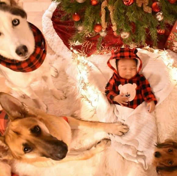 Meet your Posher, Lexi - Picture 2 of 2